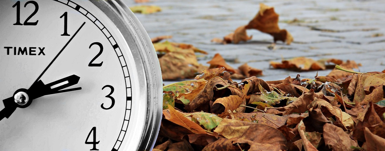 Questions and answers about saving time online